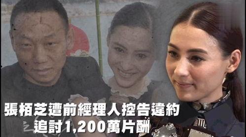 吃瓜娱乐官